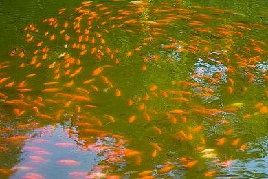 肉鸽策略战棋游戏《安魂战棋》上架Steam 发售日待定