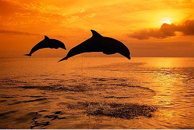 SE重金聘工匠打造《最终幻想16》主角武器 并在伦敦塔展示