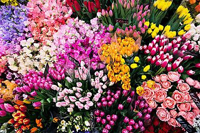 《宝可梦 Sleep》将开展“炎帝研究”活动 预计5月底推出